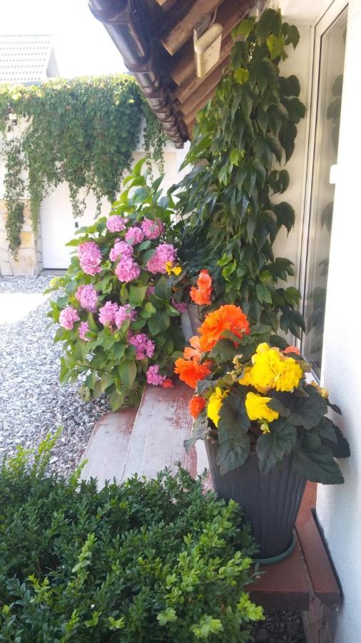 Ferienwohnung Morska Bryza Ujście-Darłowskie Exterior foto